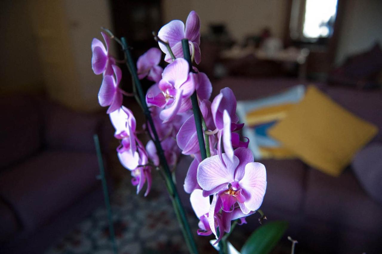 Ivana B&B Catania Bagian luar foto